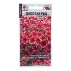 Семена цветов Флокс "Попстар Ред",  5 шт - фото 3926317