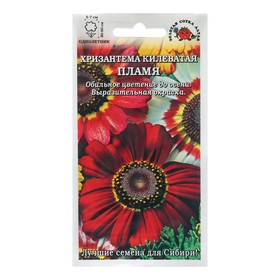Семена цветов Хризантема "Пламя килеватая", 0,1 г