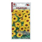 Семена цветов Хризантема "Эльдорадо", 0,2 г - фото 321047676