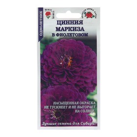 Семена цветов Цинния 'Маркиза в Фиолетовом', 0,2 г