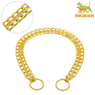 Ошейник - удавка, 45 см, двухрядный, толщина проволоки 2 мм, металл, золотистый - Фото 1