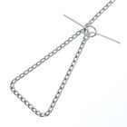 Цепь для привязи собак мелкокалиберная, 1.8 м, толщина проволоки 2 мм - Фото 2