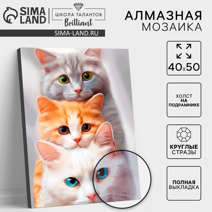 Алмазная мозаика с полным заполнением на холсте с подрамником «Котята», 40 х 50 см - Фото 1