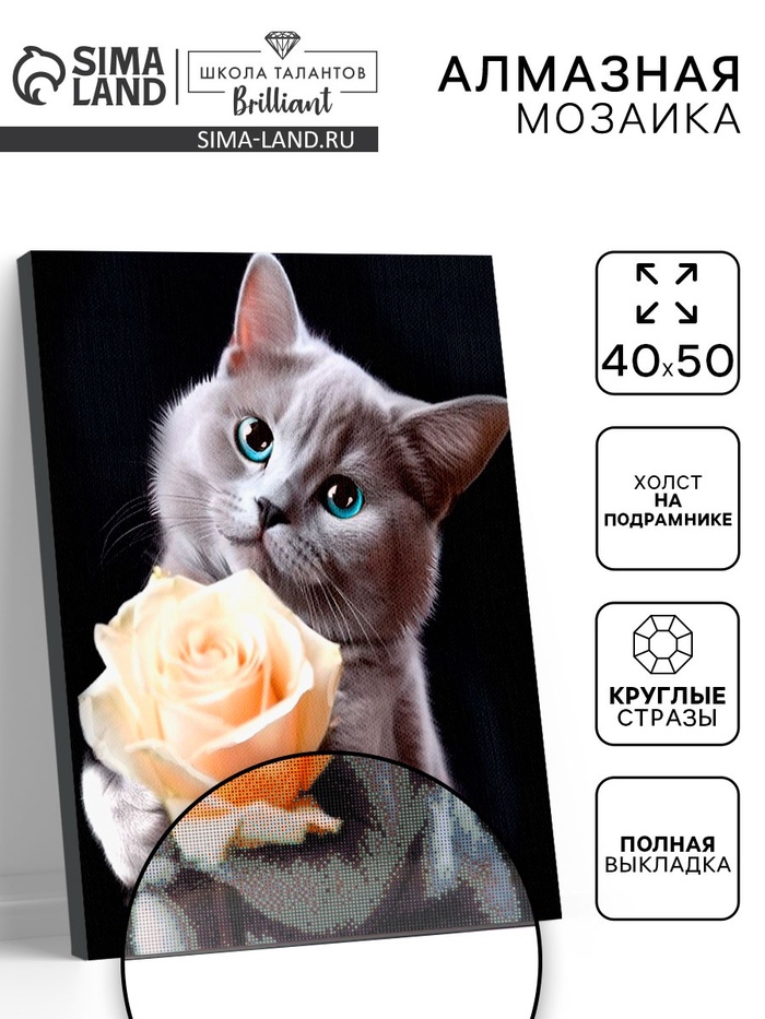 Алмазная вышивка полное заполнение «Котенок с розой», на раме, 40×50 см - Фото 1
