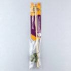 Дразнилка для кошки с кошачьей мятой «Цветочек» 9926022