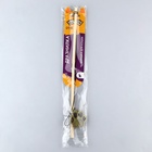 Дразнилка для кошки с кошачьей мятой «Лапка» 9926023