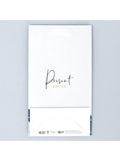 Пакет подарочный под две бутылки, упаковка, «Present for you», 35×20×9 см