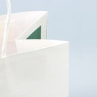Пакет подарочный крафтовый, упаковка, «Цвети от счастья», 22 х 25 х 12 см - Фото 4