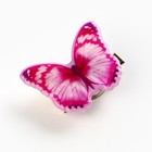 Заколка для волос светящаяся «Бабочка», 3.6 х 3 см - Фото 3