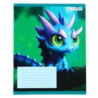 Тетрадь 18 листов в линейку "Дракончики", обложка мелованный картон, блок 60г/м2, МИКС, 5 видов - фото 23676857