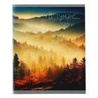 Тетрадь 48 листов в клетку "В тумане", обложка хром-эрзац, блок №2 (серые листы), МИКС 5 видов (комплект 5 шт) - фото 23676865