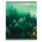 Тетрадь 48 листов в клетку "В тумане", обложка хром-эрзац, блок №2 (серые листы), МИКС 5 видов (комплект 5 шт) - фото 23676866