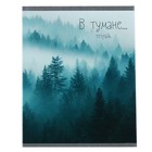 Тетрадь 48 листов в клетку "В тумане", обложка хром-эрзац, блок №2 (серые листы), МИКС 5 видов (комплект 5 шт) - фото 23676869