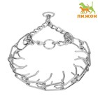 Ошейник - полуудавка строгий, 4 мм × 60 см - Фото 1