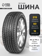 Шина летняя Ikon Tyres Nordman SX3 215/60 R=16 99H - Фото 1