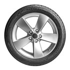 Шина летняя Ikon Tyres Nordman SZ2 205/50 R17 93W - Фото 2