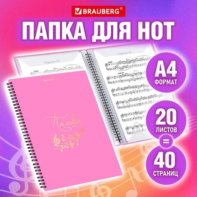 Папка-тетрадь д/нот ПЛАСТИК А4 20л на гребне вертик, BRAUBERG, РОЗОВАЯ 404642