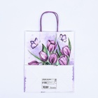 Пакет крафт «Хорошего настроения» 22×12×27 см - Фото 6