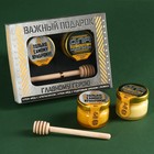 Набор «Only for man» крем-мёд с апельсином и кедровым орехом 60 г (2 шт. х 30 г)., ложка для мёда - фото 5627020