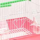Клетка для птиц укомплектованная Bd-1/4fc, 30 х 23 х 39 см, розовая - Фото 2