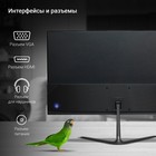 Монитор Digma 21.5" DM-MONB2202 черный VA LED 5ms 16:9 HDMI матовая 220cd 178гр/178гр 1920x 103389 - фото 51539076 Монитор Digma 21.5" DM-MONB2202 черный VA LED 5ms 16:9 HDMI матовая 220cd 178гр/178гр 1920x 103389 - фото 51539076