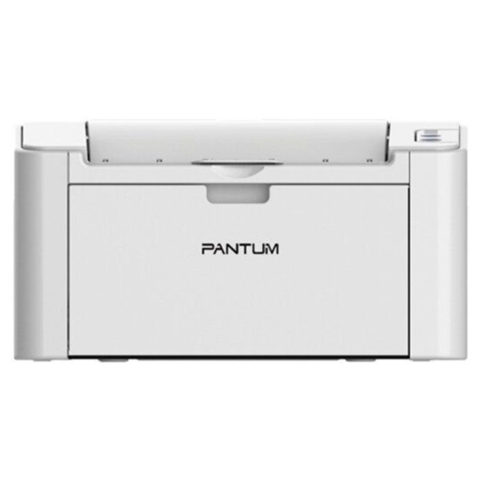Принтер лазерный Pantum P2200 A4 серый - фото 1906589706
