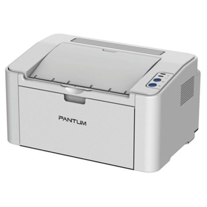 Принтер лазерный Pantum P2200 A4 серый - фото 1906589707