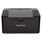 Принтер лазерный Pantum P2516 A4 черный - фото 301356514