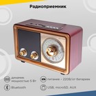 Радиоприемник портативный Сигнал БЗРП РП-324BT коричневый/бежевый USB SD/microSD - фото 51544932