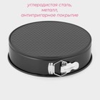 Форма для выпечки Доляна «Элин. Круг», d=26 см, съёмное дно, антипригарное покрытие, цвет чёрный - Фото 2