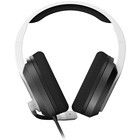 Наушники с микрофоном A4Tech Bloody G260p белый/черный 2м мониторные USB оголовье (G260P) - фото 51540275 Наушники с микрофоном A4Tech Bloody G260p белый/черный 2м мониторные USB оголовье (G260P) - фото 51540275