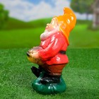 Садовая фигура "Гном с деньгами" 10х15х17см микс - Фото 5