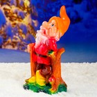 Садовая фигура "Гном с киркой" 15х19х35см - Фото 6