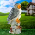Садовая фигура "Сова с совенком" 19х22х37см - Фото 4