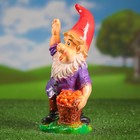 Садовая фигура "Гном-правая рука вверх" 10х13х30см МИКС - Фото 9