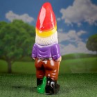 Садовая фигура "Гном с посохом" 13х17х50см - Фото 10