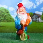 Садовая фигура "Гном с морковью" 23х22х43см МИКС - Фото 1