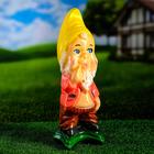 Садовая фигура "Гном растегнутая рубашка" 10х11х36см МИКС - Фото 4