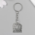 Брелок для ключей на кольце «Мой папа - Лев», металл, 2.5×2.5 см - Фото 3