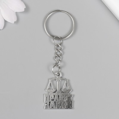 Брелок для ключей на кольце «Юрист - Правит закон», металл, 2.5×2.2 см
