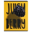 Тетрадь 48 листов в клетку на скрепке Exotic fruit, обложка мелованный картон, матовая ламинация, выборочный лак, конгрев, МИКС (комплект 4 шт) - фото 23712485