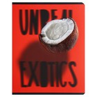 Тетрадь 48 листов в клетку на скрепке Exotic fruit, обложка мелованный картон, матовая ламинация, выборочный лак, конгрев, МИКС (комплект 4 шт) - фото 23712488
