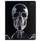 Тетрадь 48 листов в клетку на скрепке Metal, обложка мелованный картон, ВД-лак, металлизация, конгрев, МИКС (комплект 4 шт) - фото 23698944