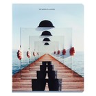 Тетрадь 48 листов в клетку на скрепке "Визуальный обман", обложка мелованный картон, матовая ламинация, МИКС (комплект 5 шт) - фото 23698954