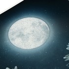 Тетрадь 48 листов в клетку на скрепке "Сияние", обложка мелованный картон, ВД-лак, блёстки, МИКС (комплект 4 шт) - фото 23698976