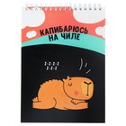 Блокнот А5, 60 листов в клетку на гребне "Хороший совет", обложка мелованный картон, твёрдая подложка, МИКС - фото 23699077