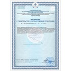 Бальзам Алтайские Травы «БронхоНорм» при простуде, 250 мл стекло - Фото 7