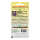 Семена Вечерница "Вечерница Матроны", ц/п,  0,1 г - фото 28783554