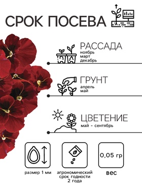 Семена Виола "Вечерняя заря", ц/п,  0,05 г (комплект 2 шт)