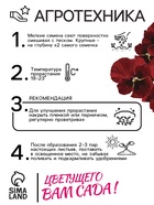 Семена Виола "Вечерняя заря", ц/п,  0,05 г (комплект 2 шт) - фото 33075149